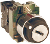 BG73 3P - Переключатель с замком возвратный 2NO