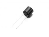 FUSE 2.5A 250V TR5