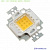 LED 10W 12v 800LM 5000-6000K