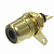  RCA (   ) GOLD 